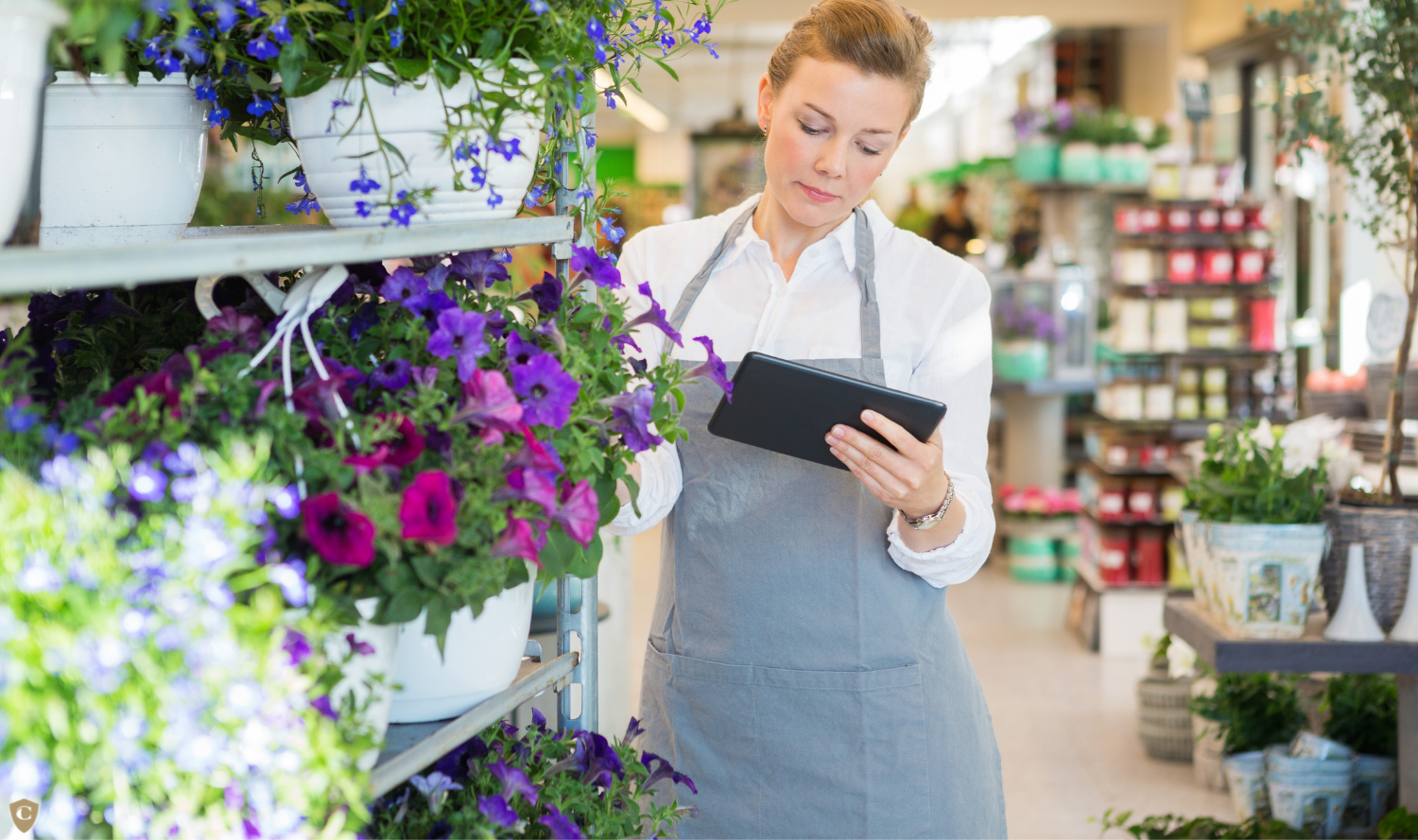 Sme Recovery Loan Scheme