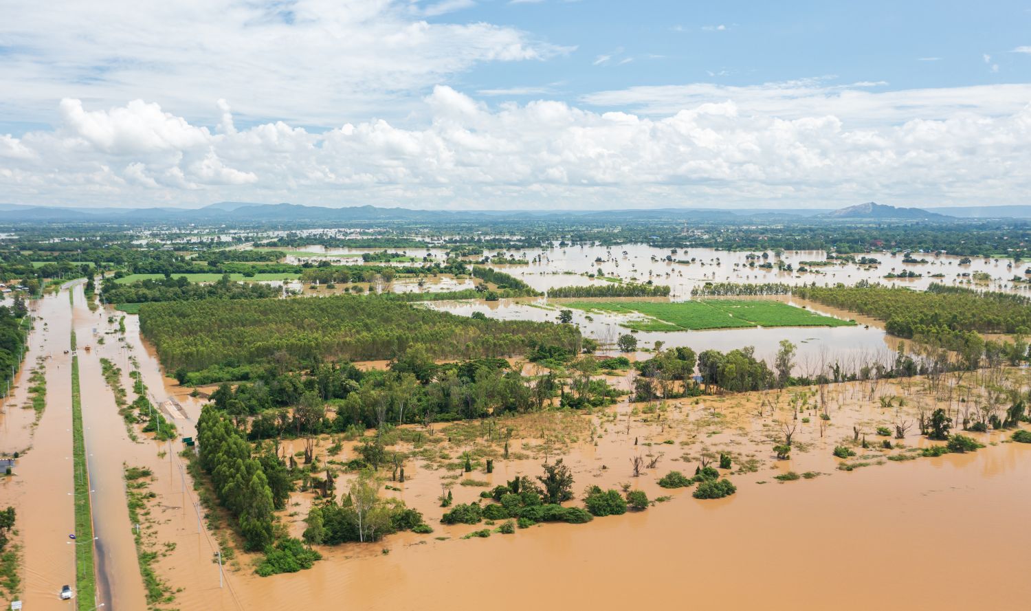 Primary Production Flood Disaster